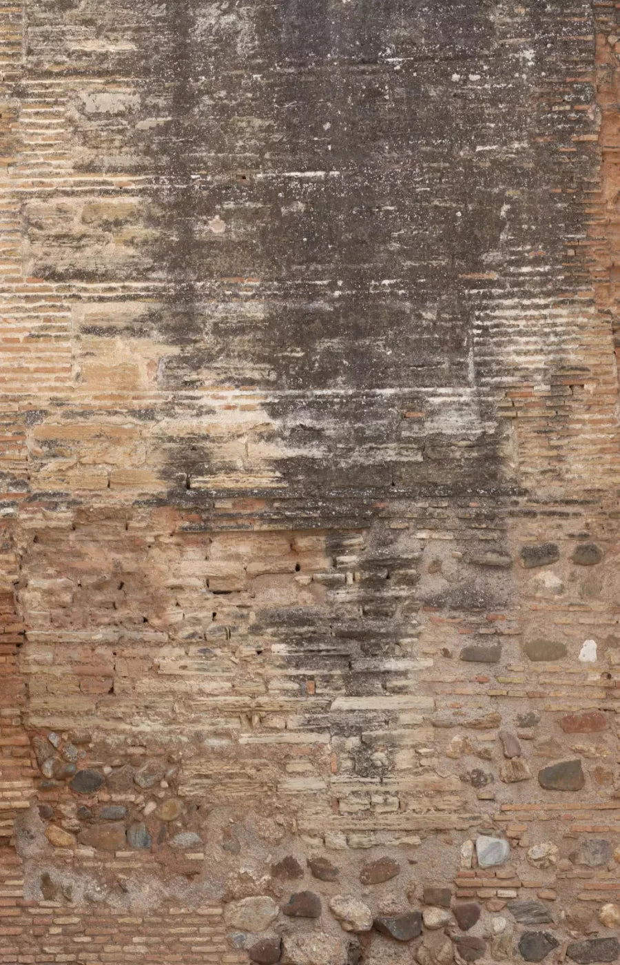 Partition 8X12 Ultracloth ( 96 X 144 Inch ) Backdrop