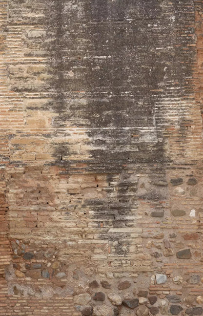 Partition 8X12 Ultracloth ( 96 X 144 Inch ) Backdrop
