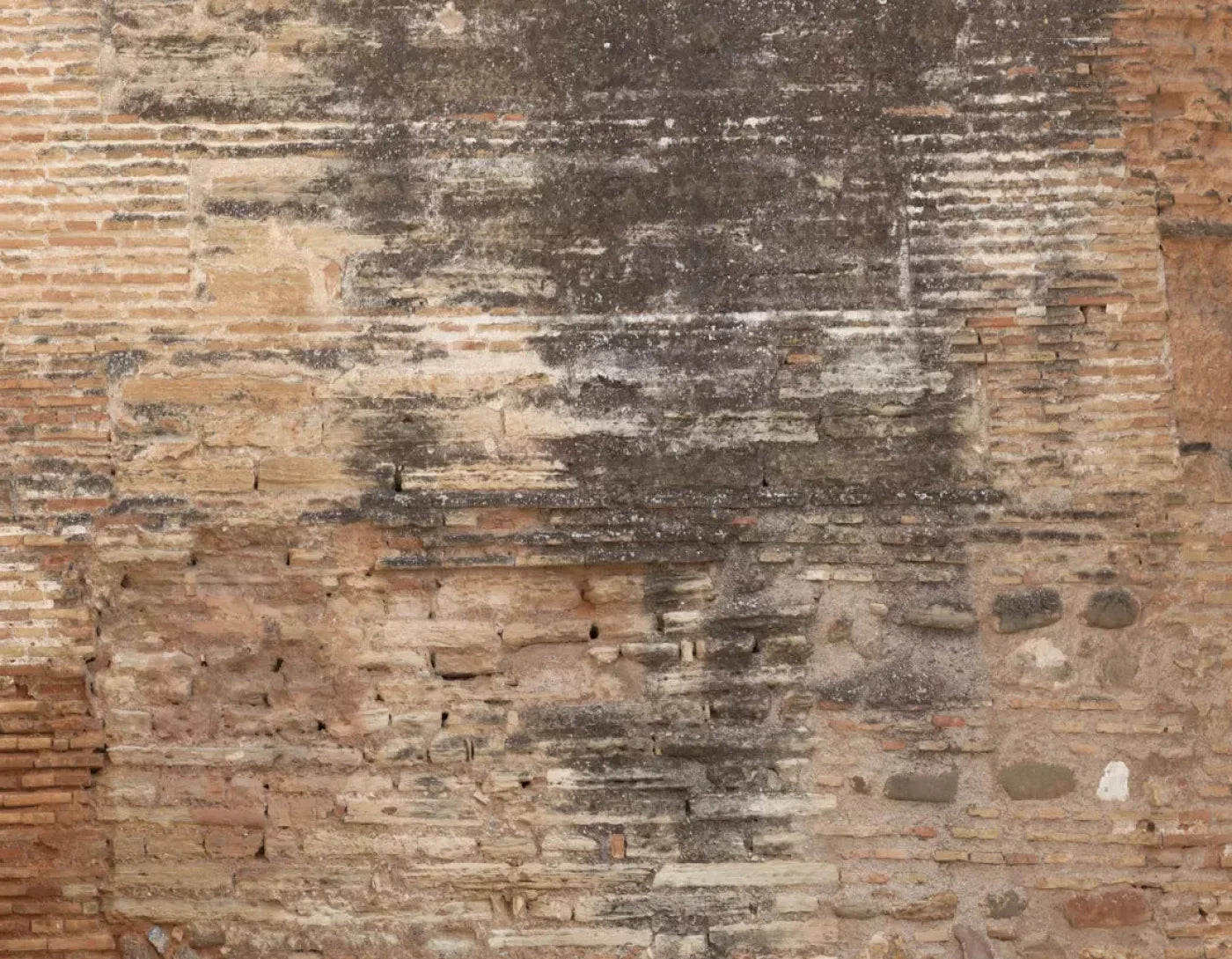 Partition 8X6 Fleece ( 96 X 72 Inch ) Backdrop