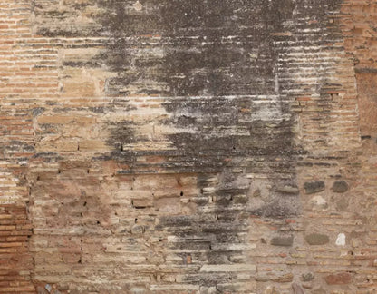 Partition 8X6 Fleece ( 96 X 72 Inch ) Backdrop