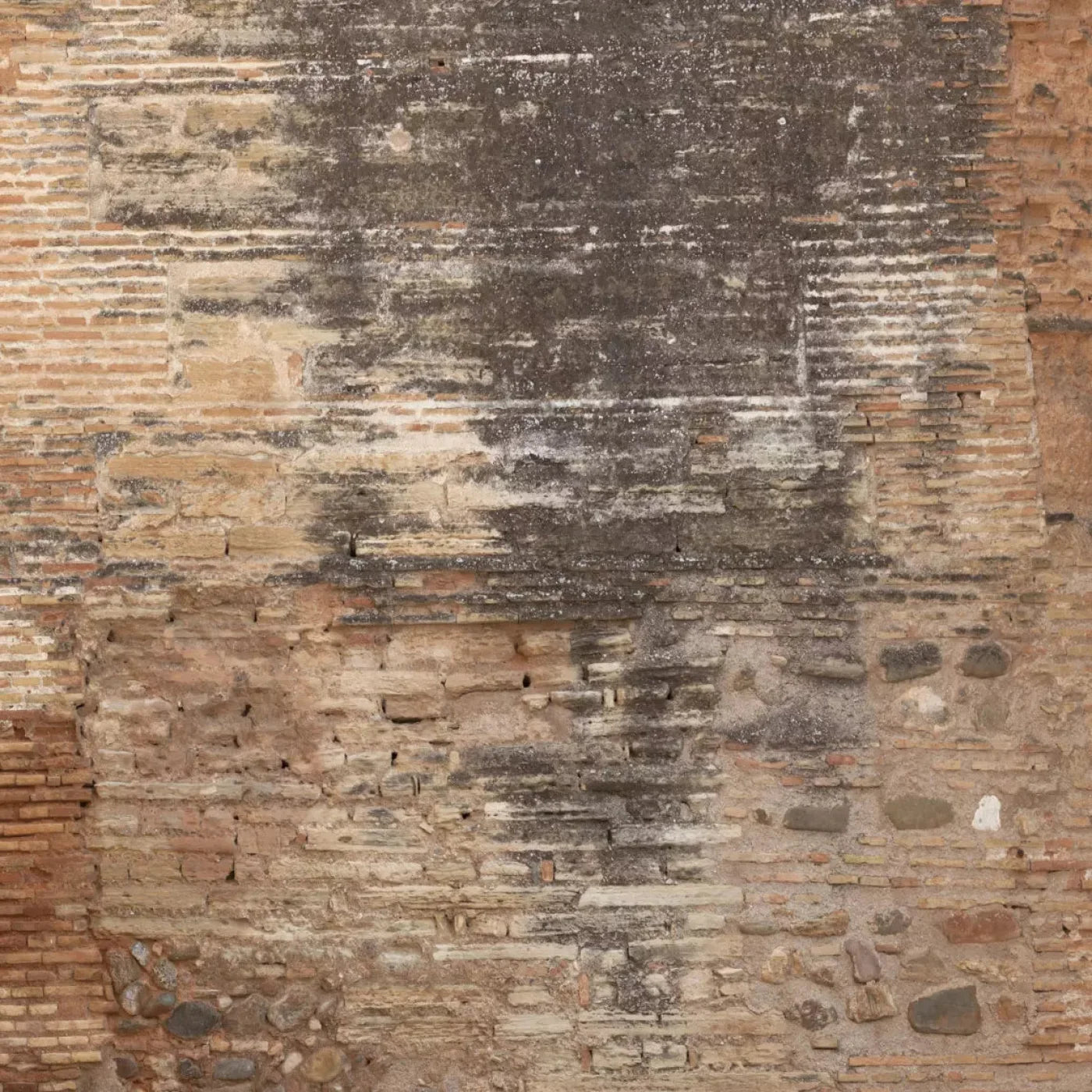 Partition 8X8 Fleece ( 96 X Inch ) Backdrop