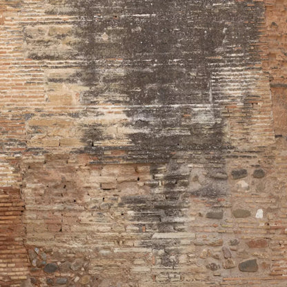 Partition 8X8 Fleece ( 96 X Inch ) Backdrop