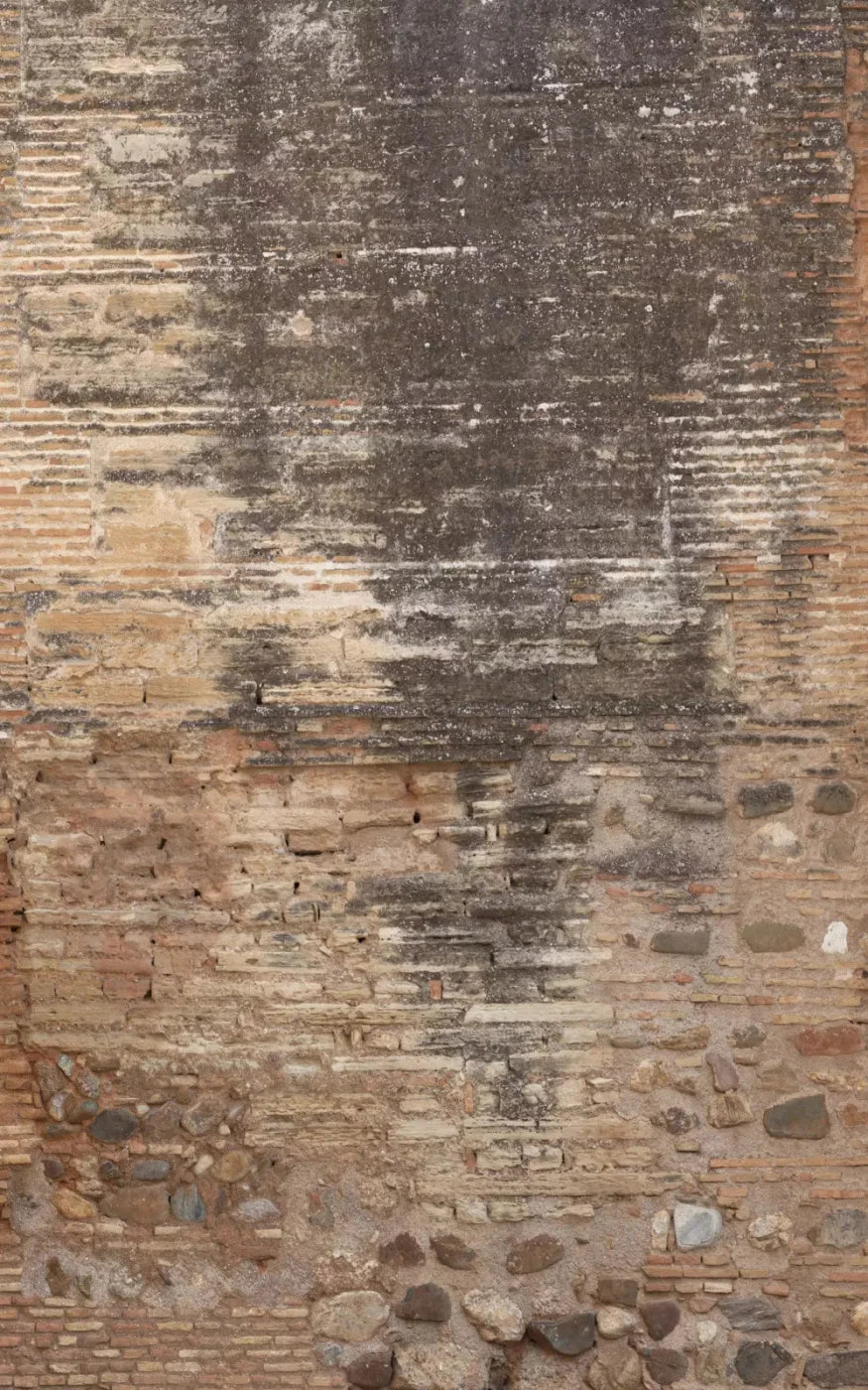 Partition 9X14 Ultracloth ( 108 X 168 Inch ) Backdrop