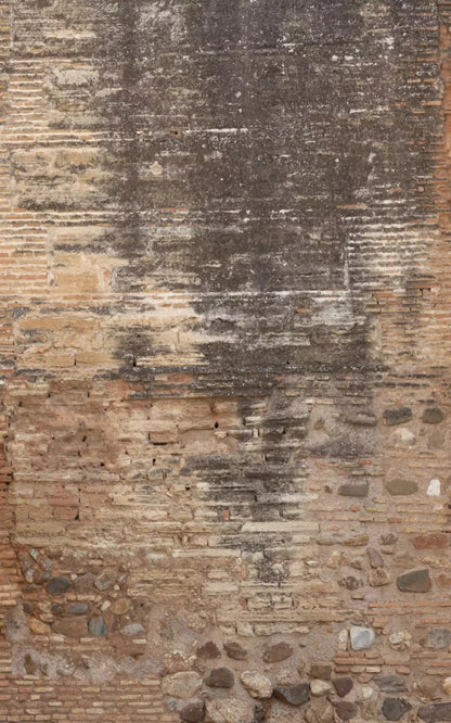 Partition 9X14 Ultracloth ( 108 X 168 Inch ) Backdrop