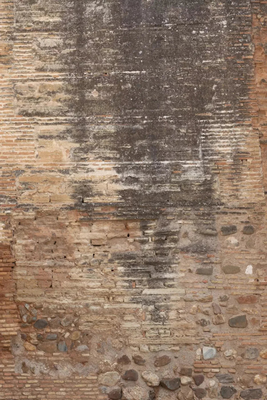 Partition Backdrop
