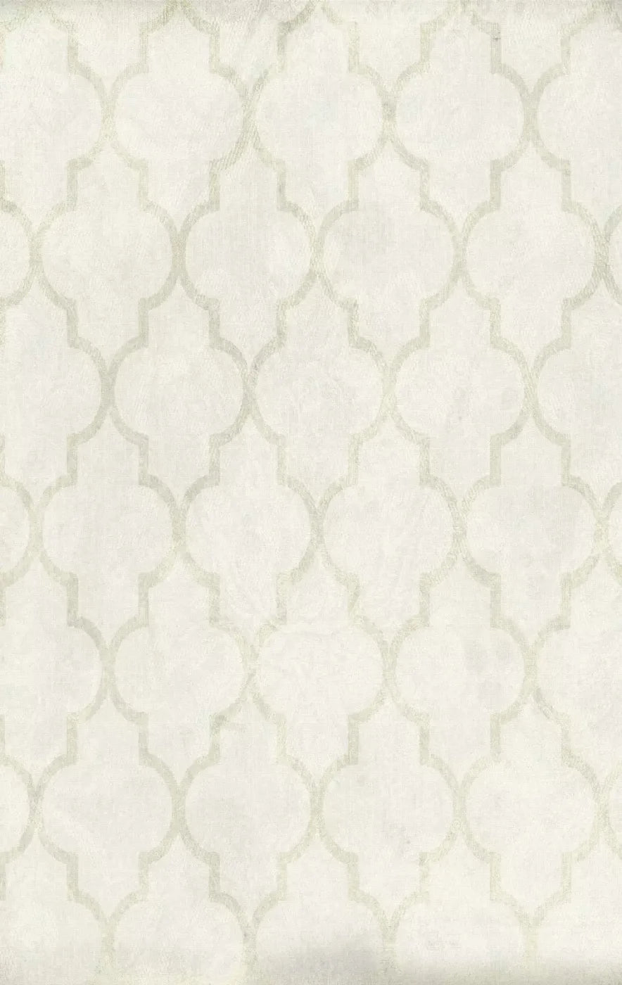Pasha 10X16 Ultracloth ( 120 X 192 Inch ) Backdrop