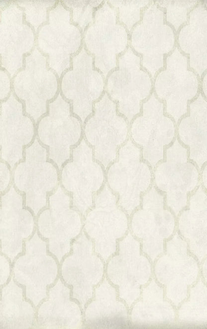 Pasha 10X16 Ultracloth ( 120 X 192 Inch ) Backdrop