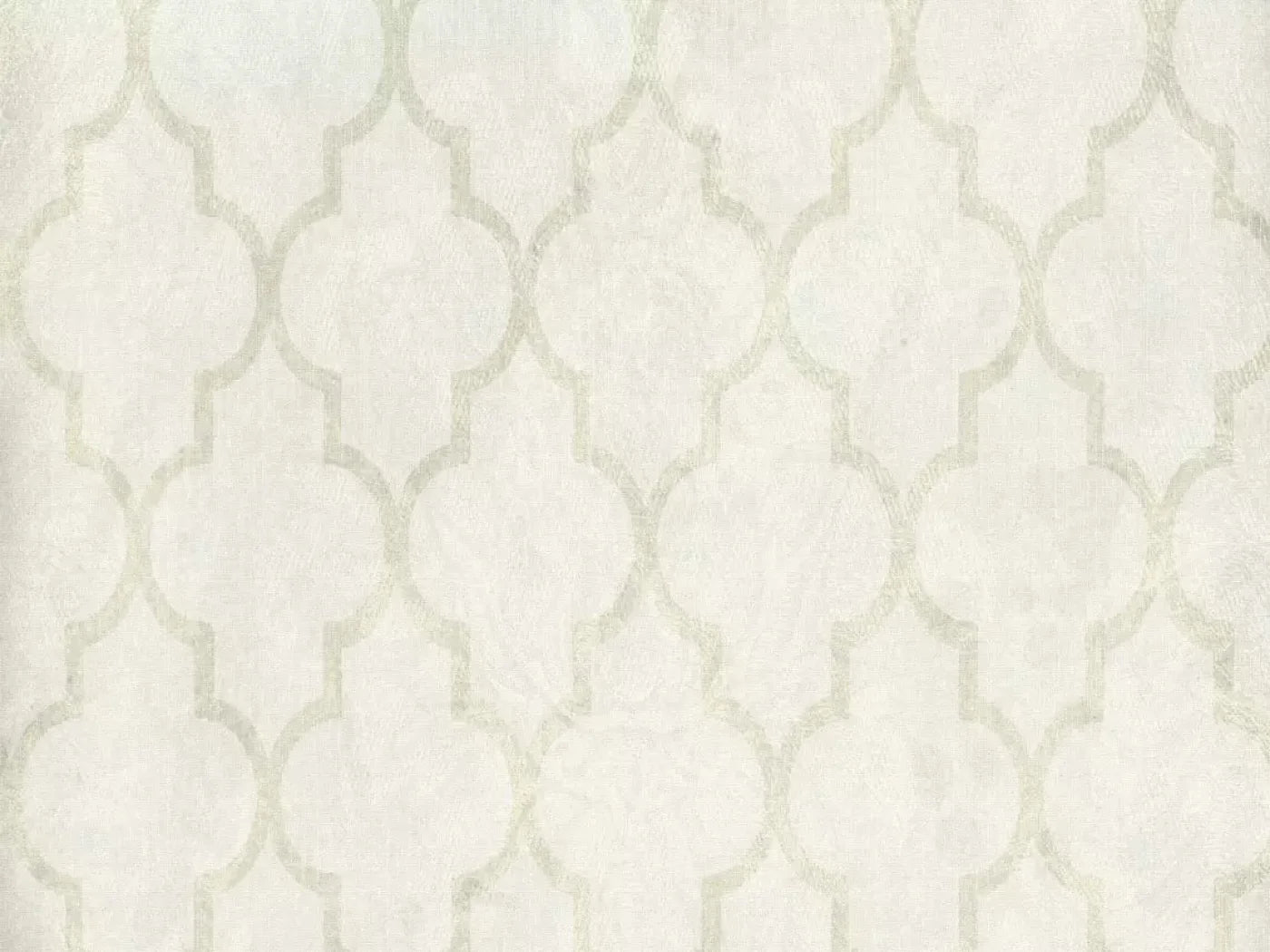 Pasha 10X8 Fleece ( 120 X 96 Inch ) Backdrop