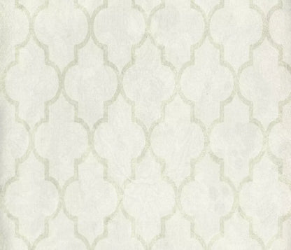 Pasha 12X10 Ultracloth ( 144 X 120 Inch ) Backdrop