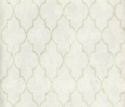 Pasha 12X10 Ultracloth ( 144 X 120 Inch ) Backdrop