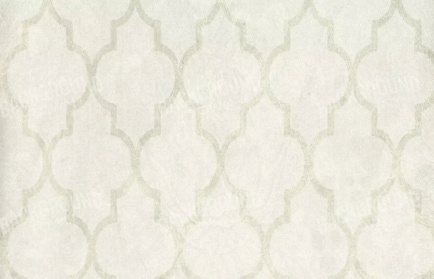 Pasha 12X8 Ultracloth ( 144 X 96 Inch ) Backdrop