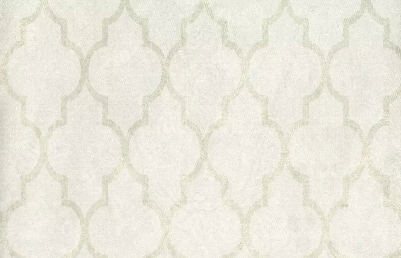 Pasha 12X8 Ultracloth ( 144 X 96 Inch ) Backdrop