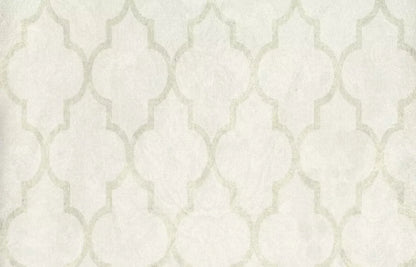 Pasha 12X8 Ultracloth ( 144 X 96 Inch ) Backdrop