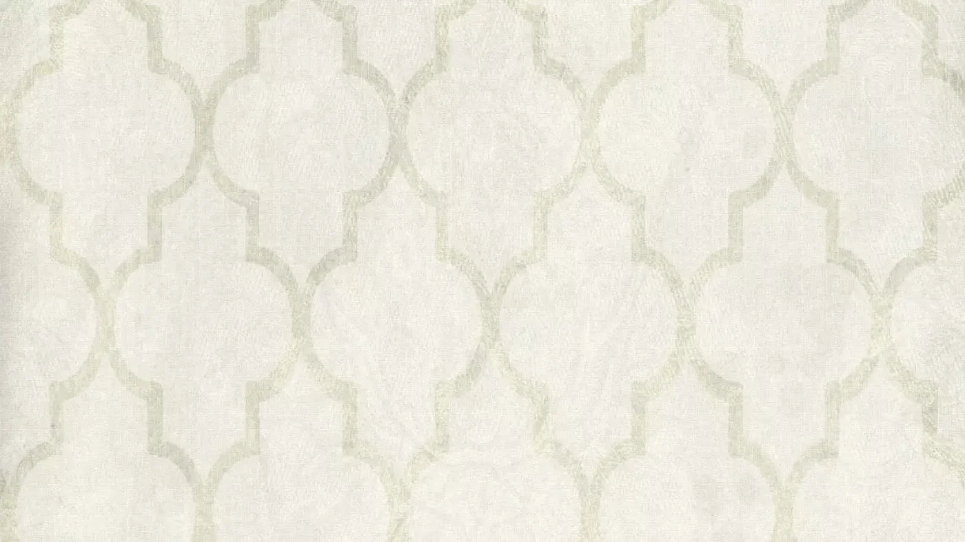 Pasha 14X8 Ultracloth ( 168 X 96 Inch ) Backdrop