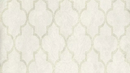 Pasha 14X8 Ultracloth ( 168 X 96 Inch ) Backdrop