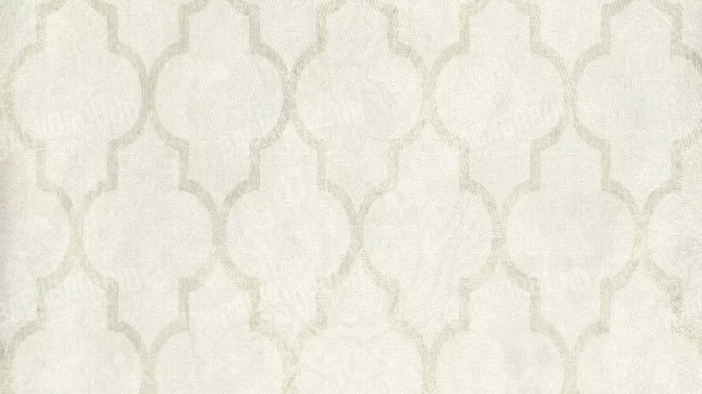 Pasha 14X8 Ultracloth ( 168 X 96 Inch ) Backdrop