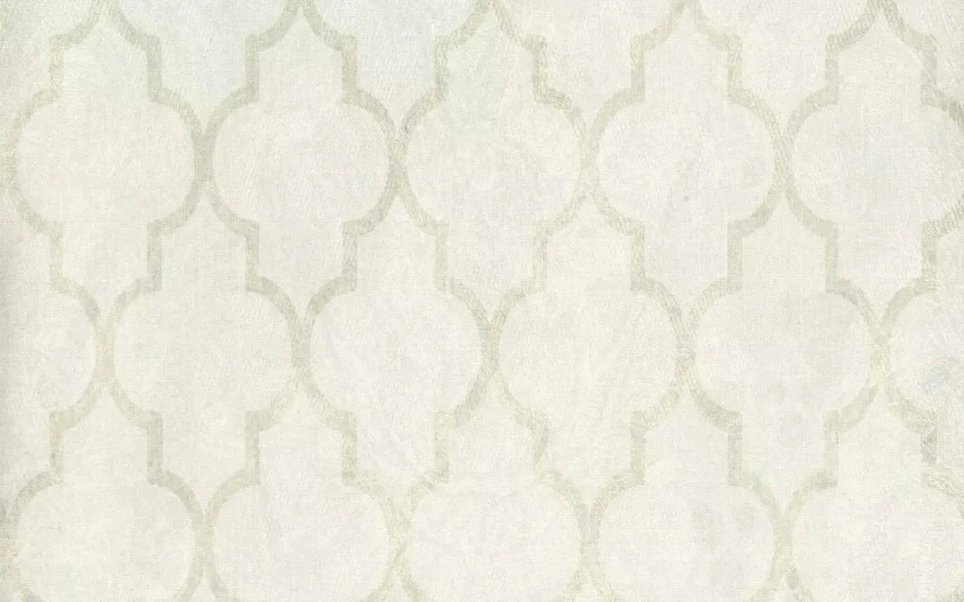 Pasha 14X9 Ultracloth ( 168 X 108 Inch ) Backdrop