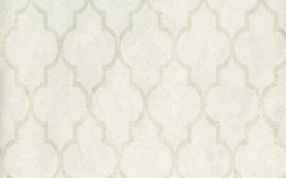 Pasha 14X9 Ultracloth ( 168 X 108 Inch ) Backdrop
