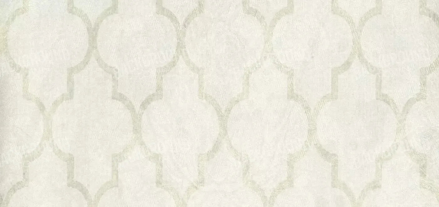 Pasha 16X8 Ultracloth ( 192 X 96 Inch ) Backdrop