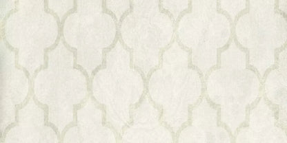 Pasha 20X10 Ultracloth ( 240 X 120 Inch ) Backdrop