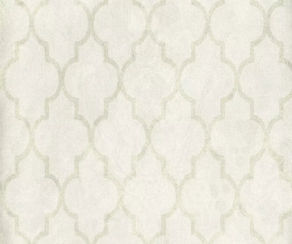 Pasha 5X42 Fleece ( 60 X 50 Inch ) Backdrop