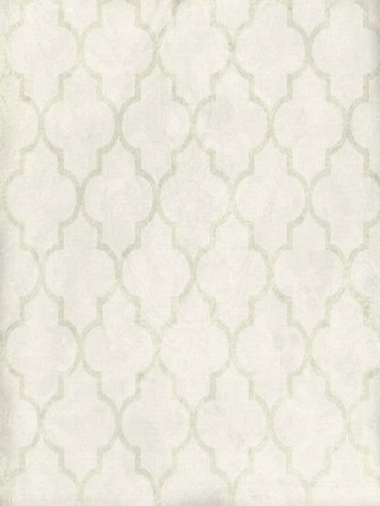 Pasha 5X68 Fleece ( 60 X 80 Inch ) Backdrop