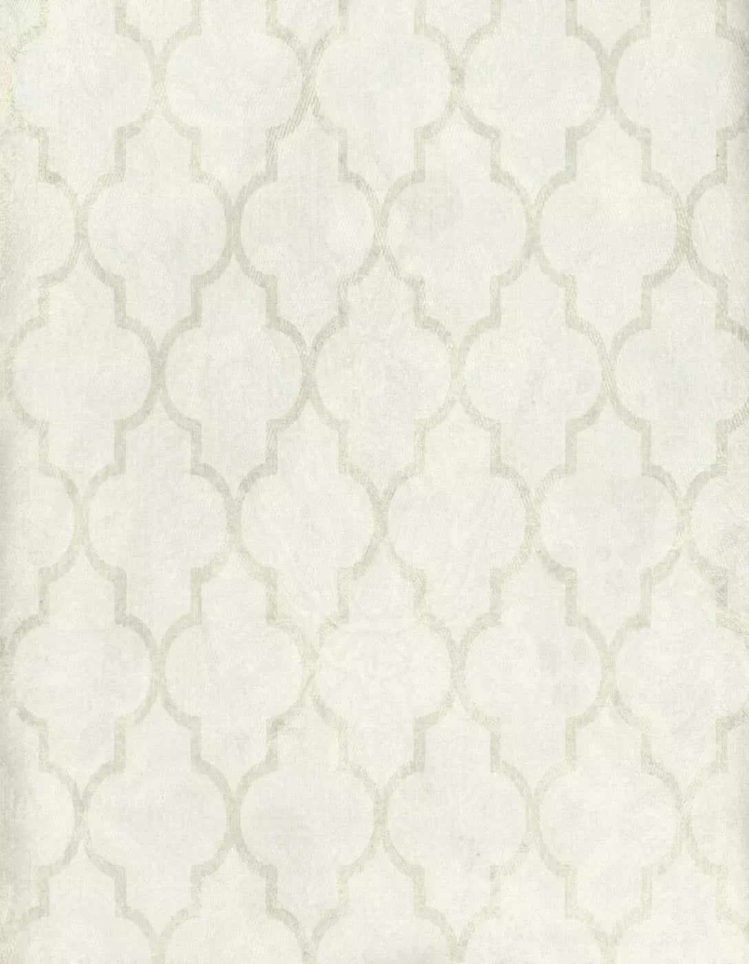 Pasha 6X8 Fleece ( 72 X 96 Inch ) Backdrop