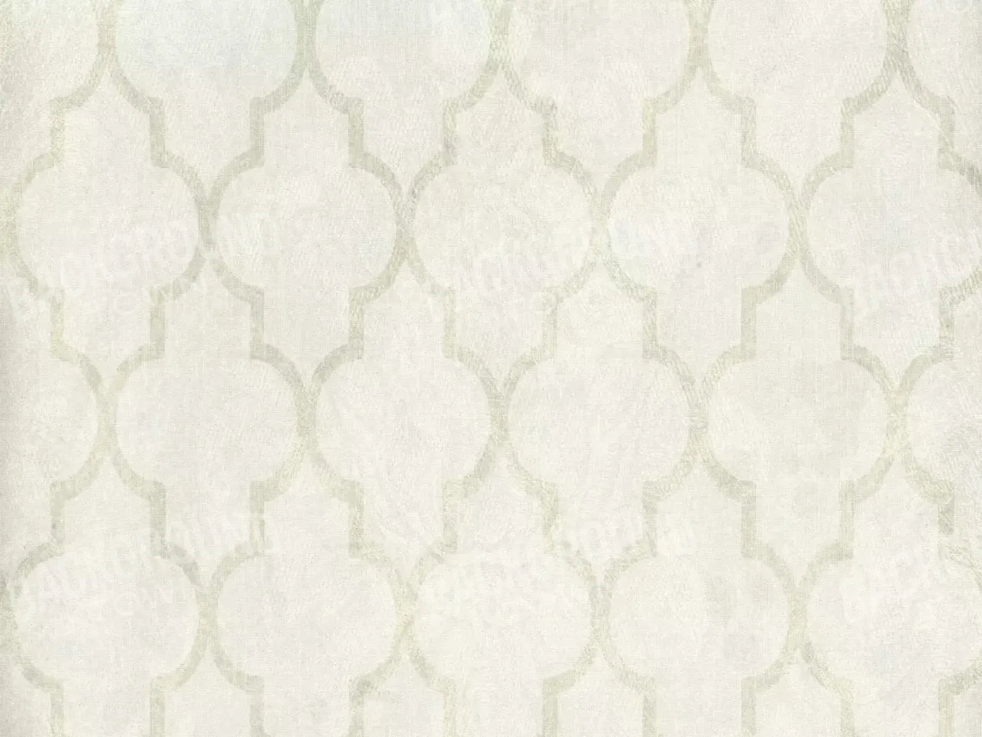 Pasha 7X5 Ultracloth ( 84 X 60 Inch ) Backdrop