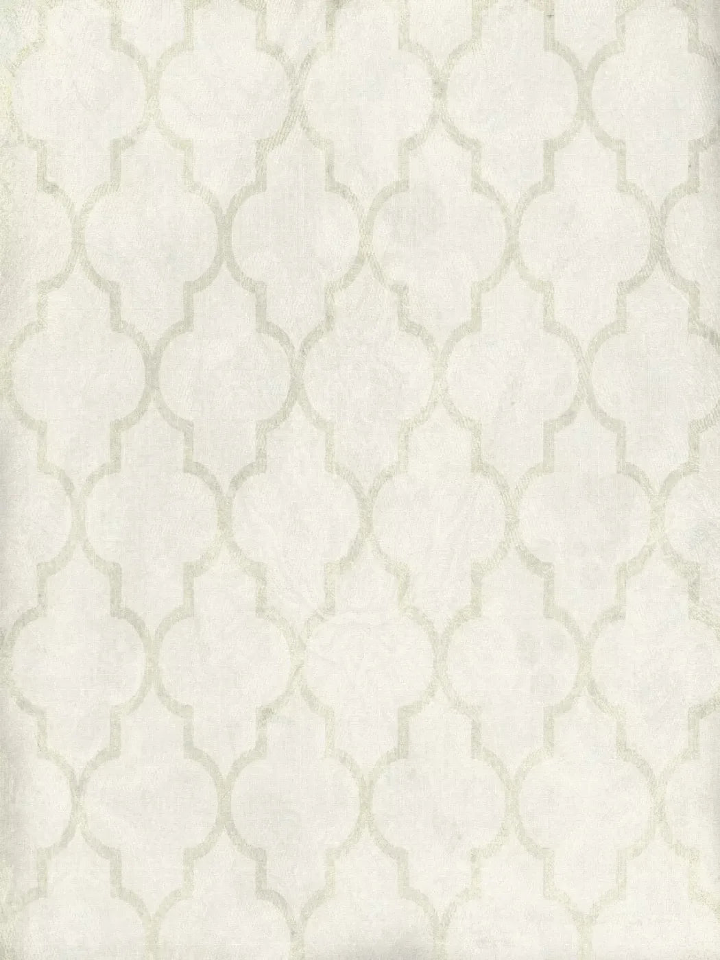 Pasha 8X10 Fleece ( 96 X 120 Inch ) Backdrop