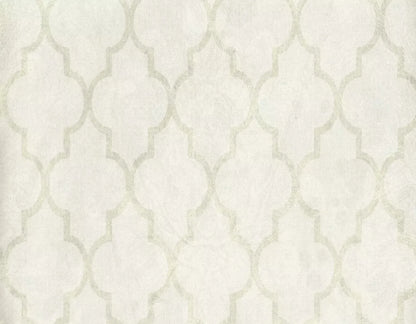 Pasha 8X6 Fleece ( 96 X 72 Inch ) Backdrop