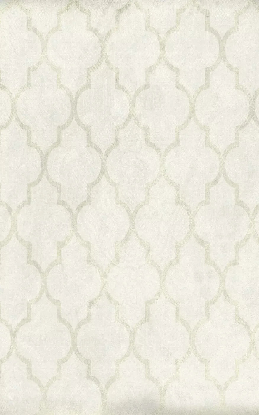 Pasha 9X14 Ultracloth ( 108 X 168 Inch ) Backdrop