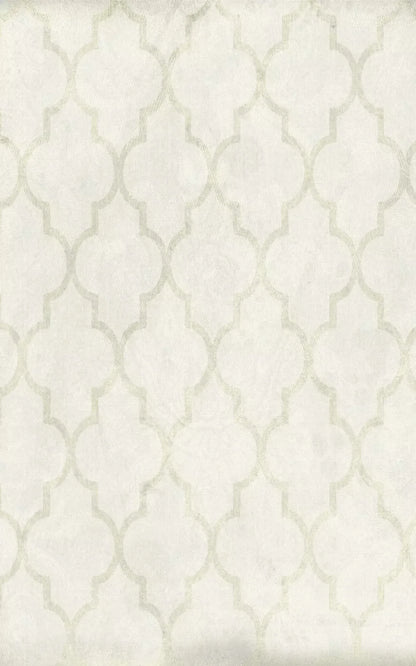 Pasha 9X14 Ultracloth ( 108 X 168 Inch ) Backdrop