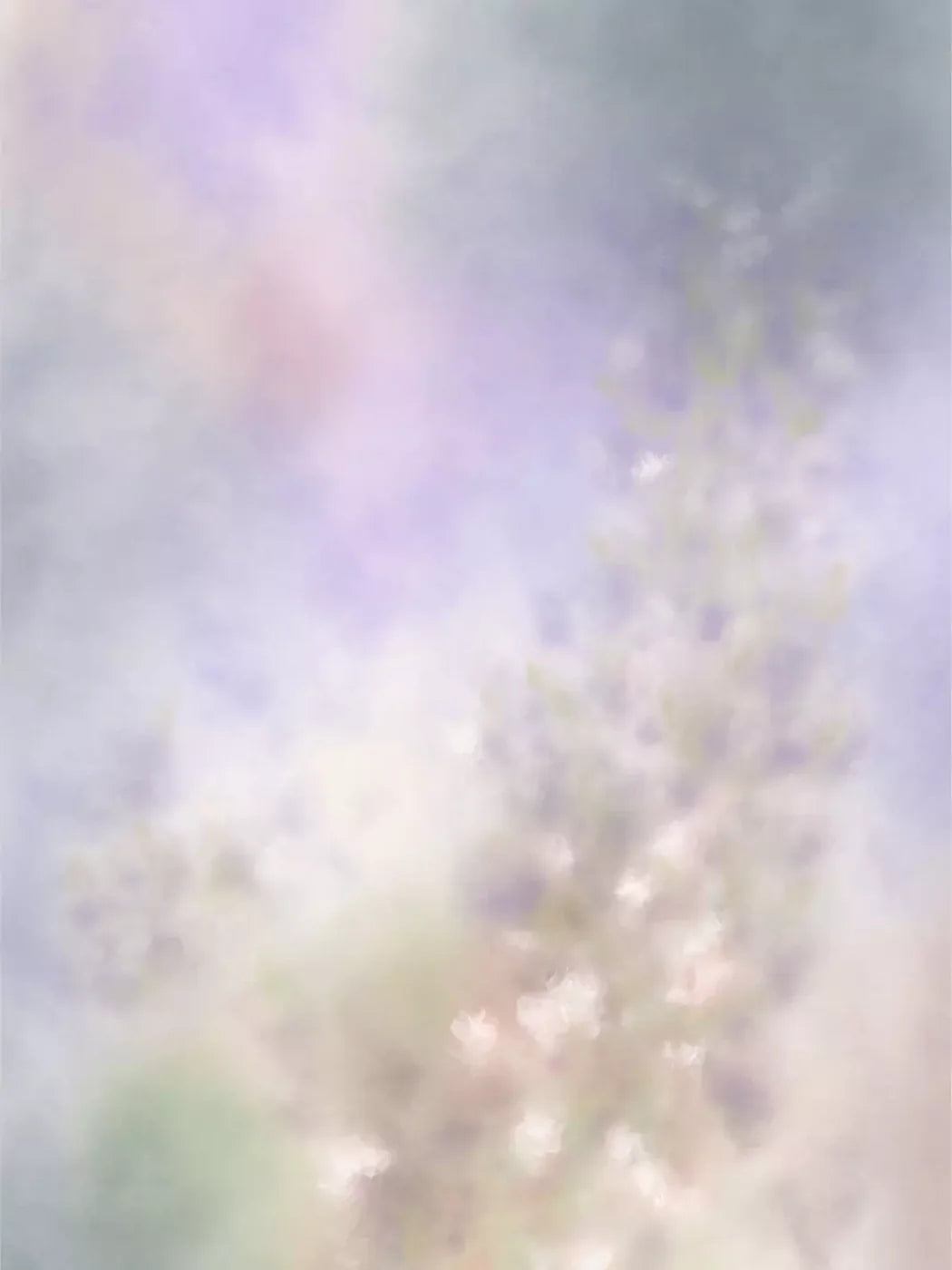 Pastel Fog 5X68 Fleece ( 60 X 80 Inch ) Backdrop