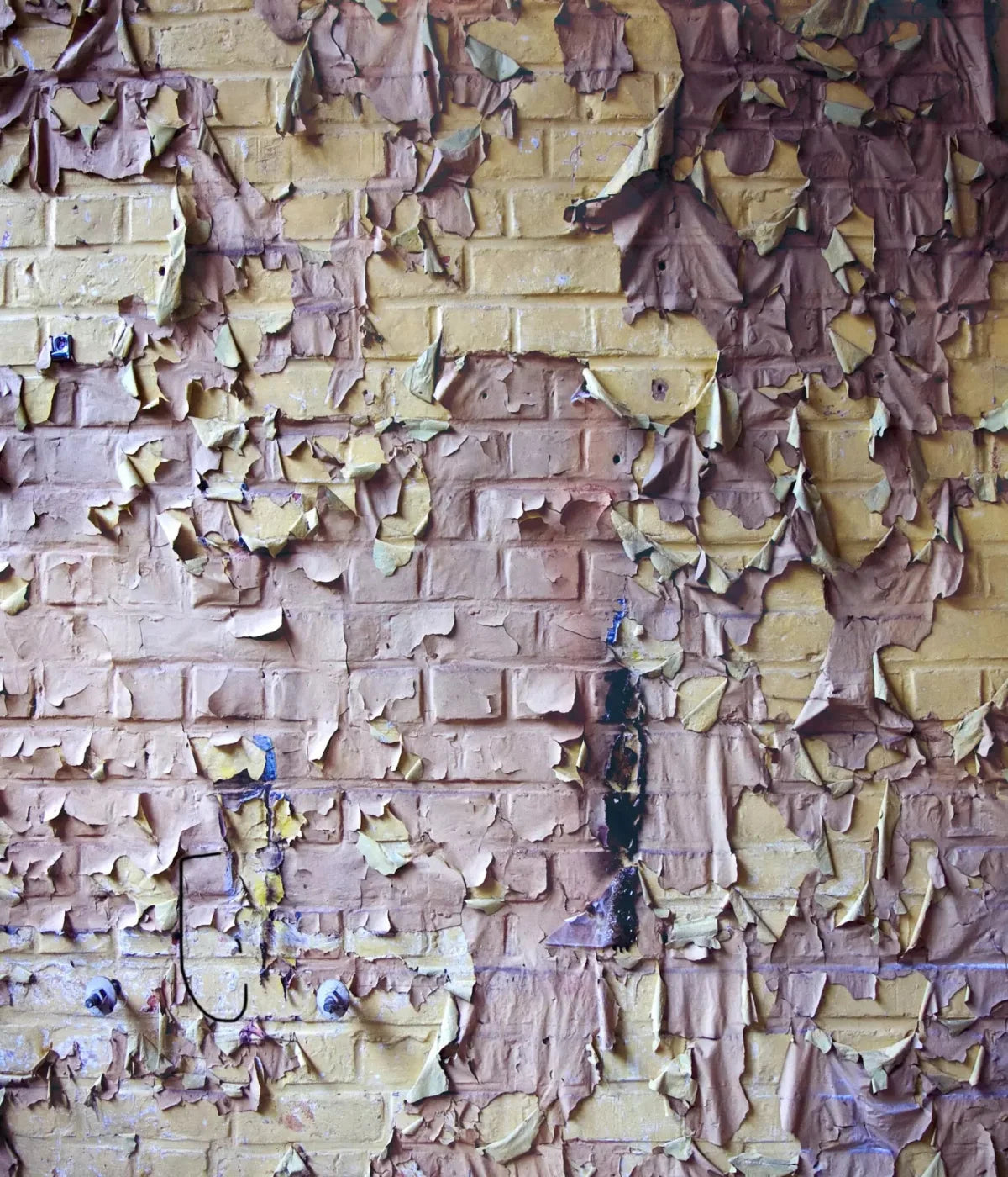 Pastel Peels 10X12 Ultracloth ( 120 X 144 Inch ) Backdrop