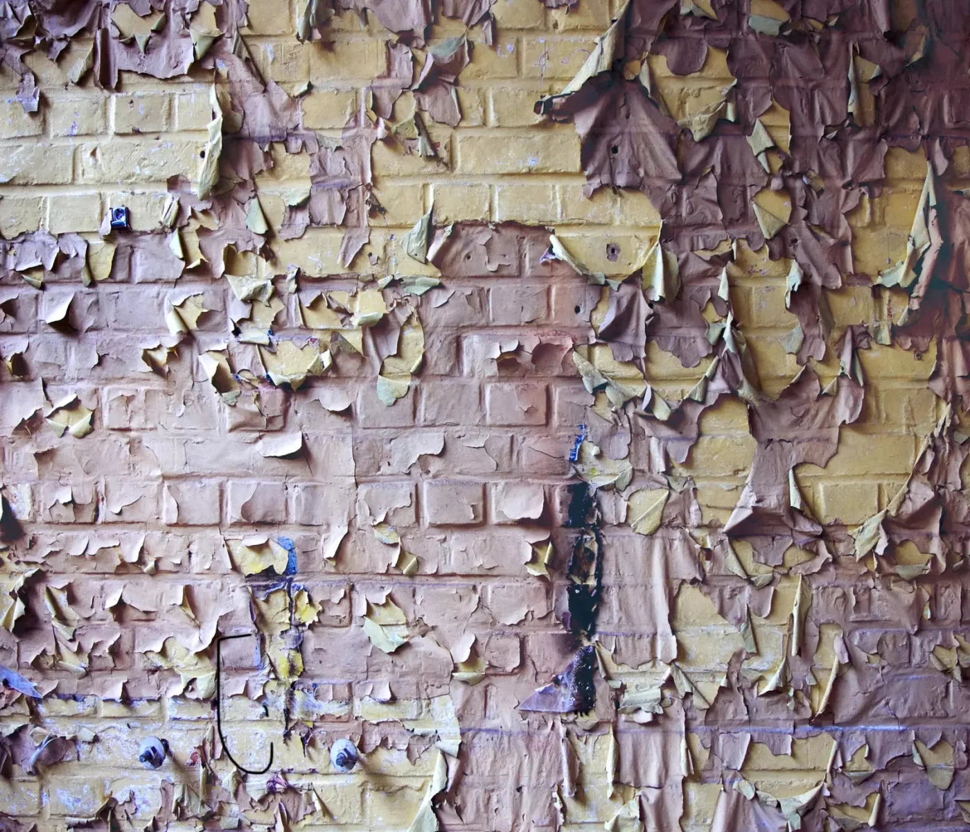 Pastel Peels 12X10 Ultracloth ( 144 X 120 Inch ) Backdrop