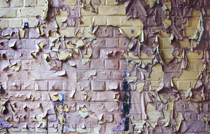 Pastel Peels 12X8 Ultracloth ( 144 X 96 Inch ) Backdrop