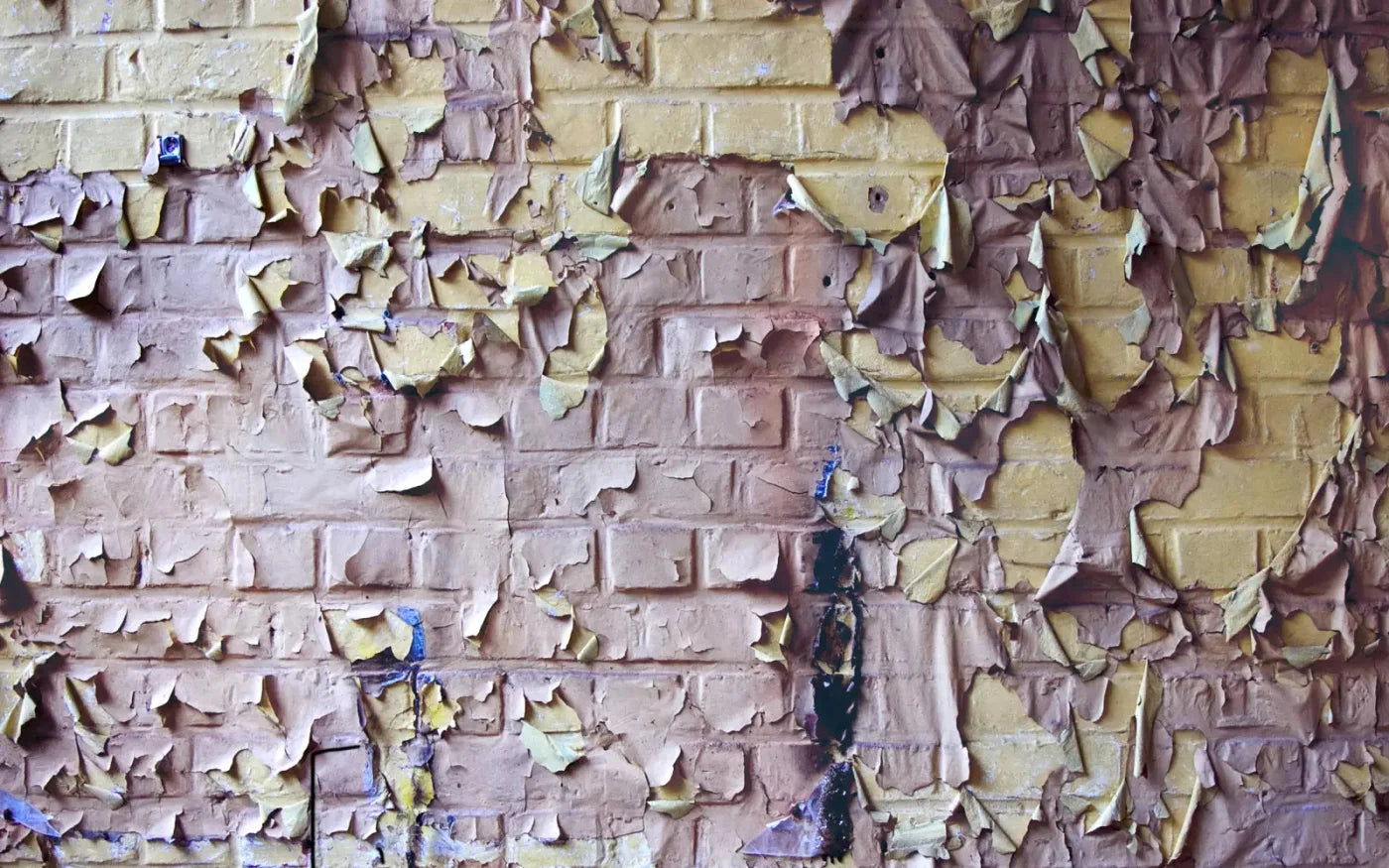 Pastel Peels 14X9 Ultracloth ( 168 X 108 Inch ) Backdrop