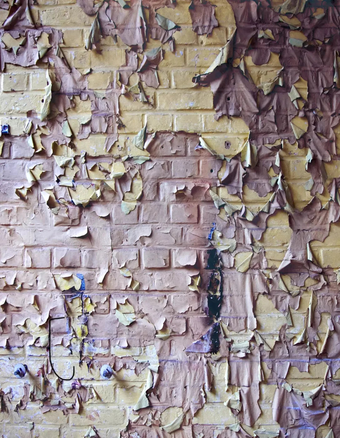 Pastel Peels 6X8 Fleece ( 72 X 96 Inch ) Backdrop