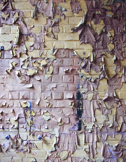 Pastel Peels 6X8 Fleece ( 72 X 96 Inch ) Backdrop