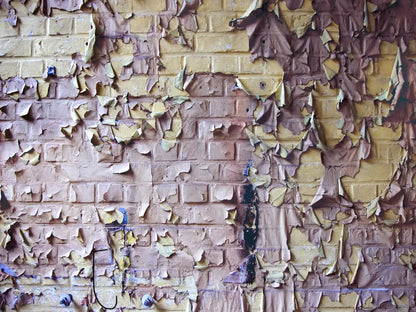 Pastel Peels 7X5 Ultracloth ( 84 X 60 Inch ) Backdrop