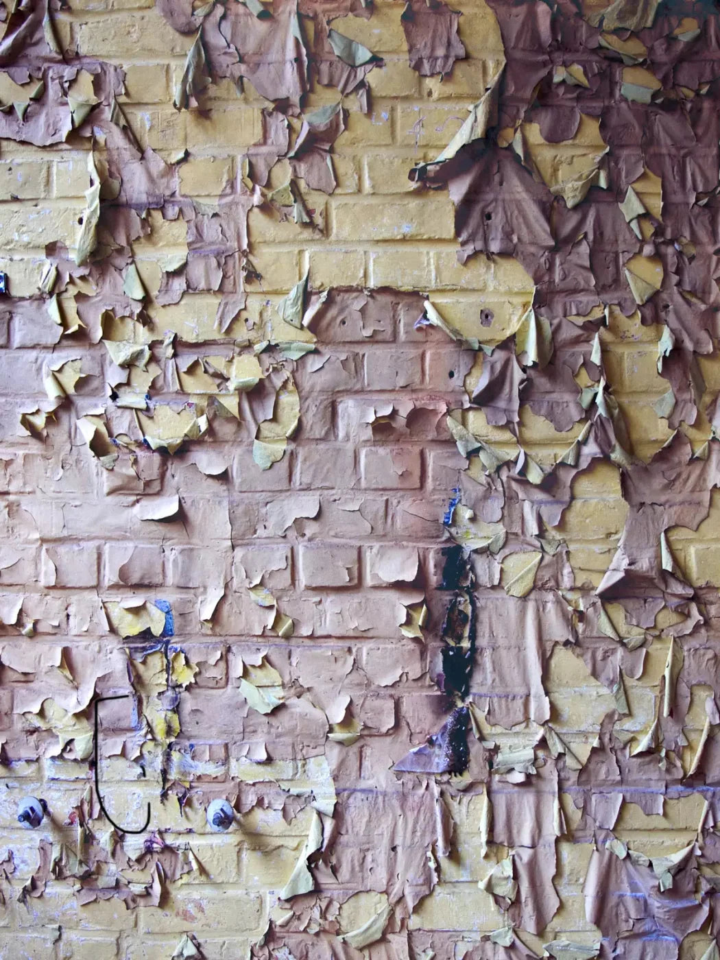 Pastel Peels 8X10 Fleece ( 96 X 120 Inch ) Backdrop