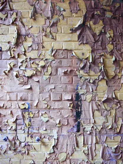 Pastel Peels 8X10 Fleece ( 96 X 120 Inch ) Backdrop