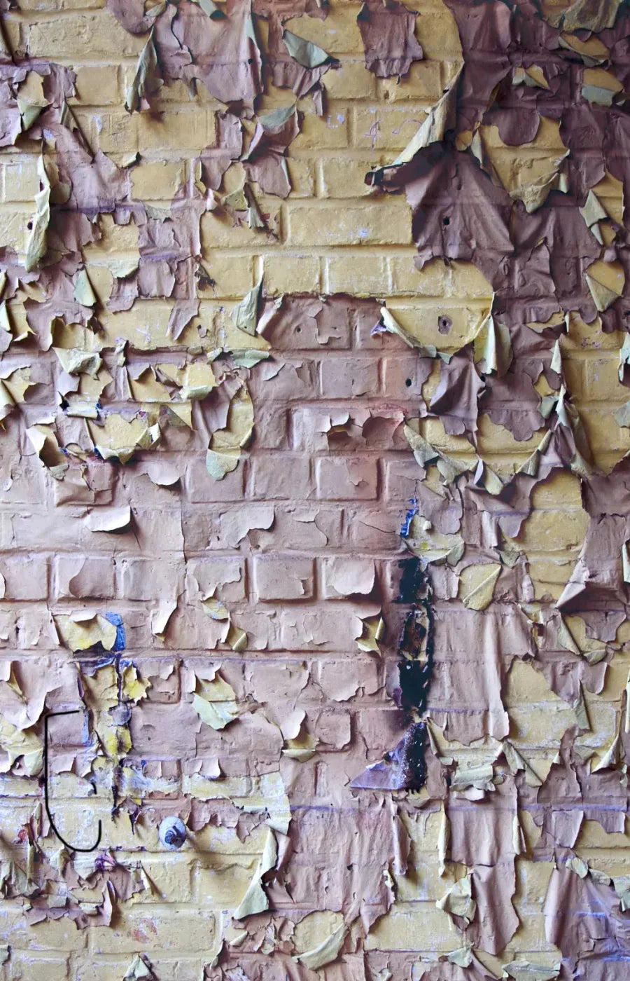 Pastel Peels 8X12 Ultracloth ( 96 X 144 Inch ) Backdrop