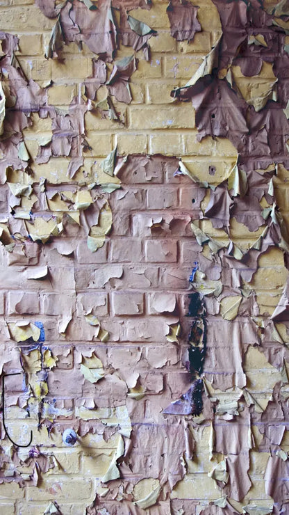 Pastel Peels 8X14 Ultracloth ( 96 X 168 Inch ) Backdrop