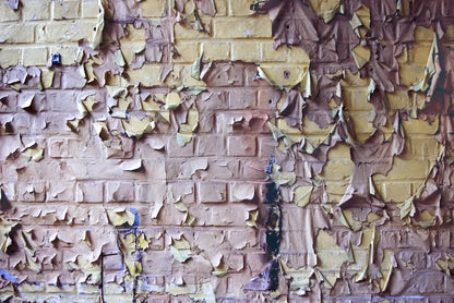 Pastel Peels 8X5 Ultracloth ( 96 X 60 Inch ) Backdrop