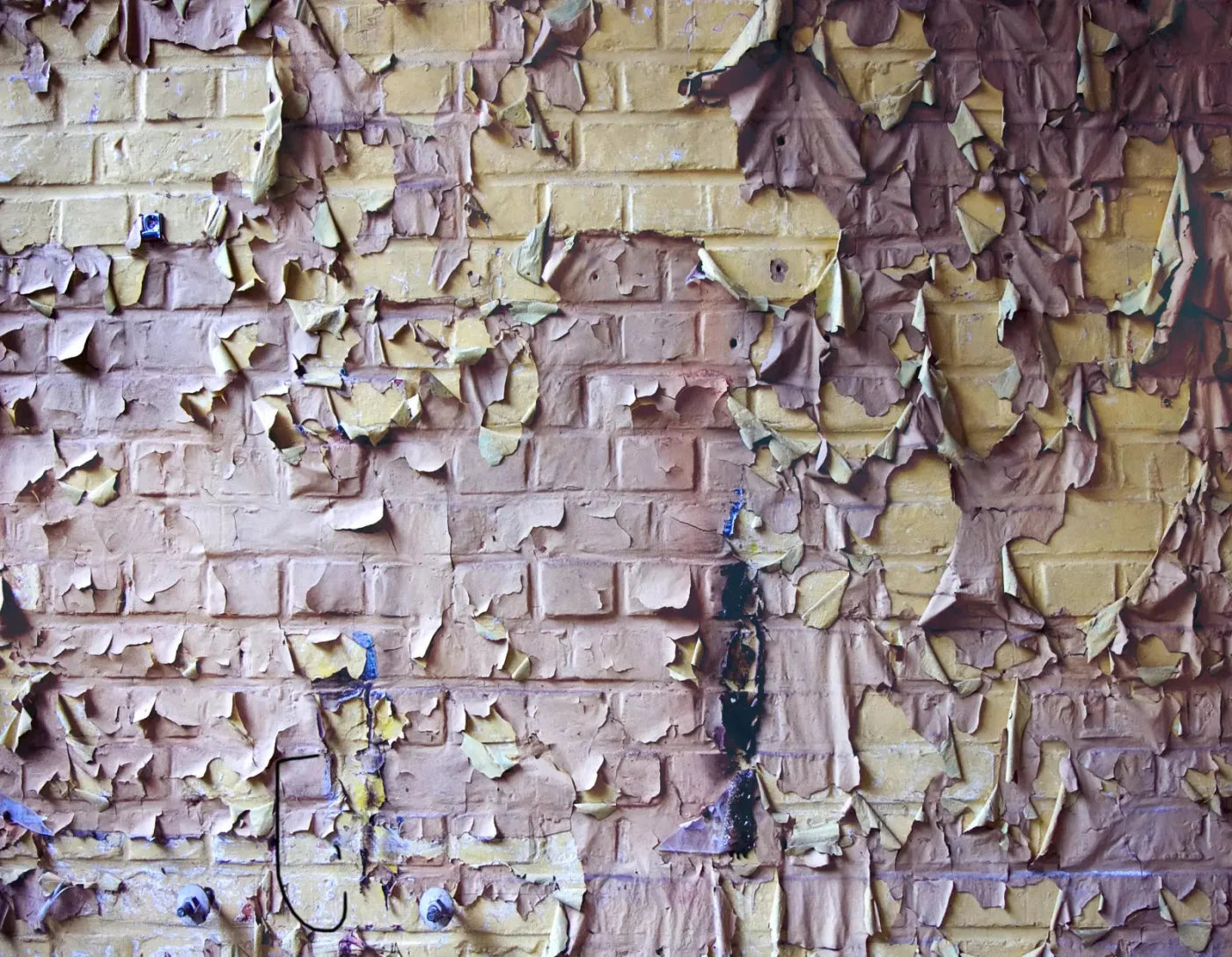 Pastel Peels 8X6 Fleece ( 96 X 72 Inch ) Backdrop