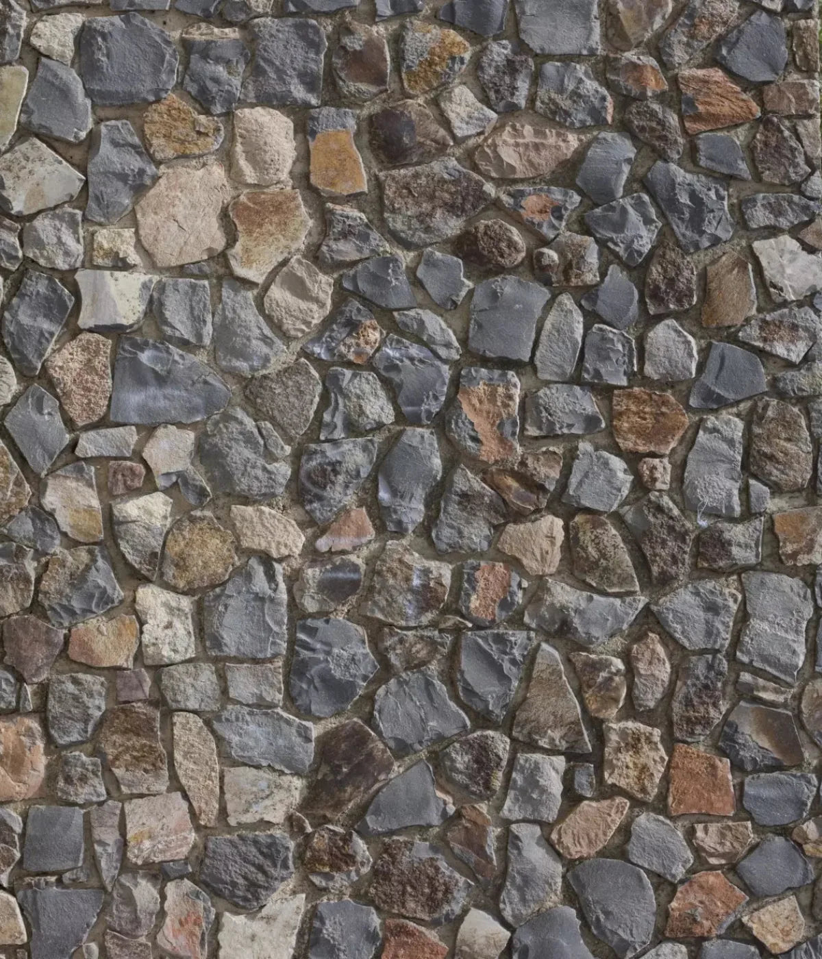 Pathway 10X12 Ultracloth ( 120 X 144 Inch ) Backdrop