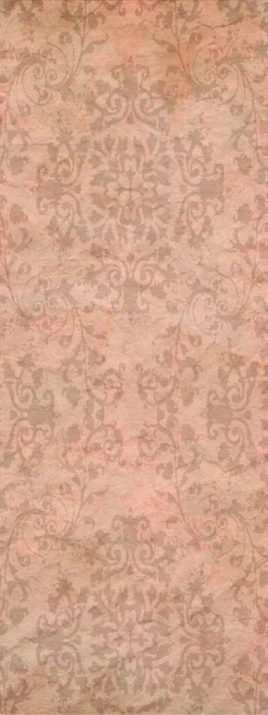 Patience 8X20 Ultracloth ( 96 X 240 Inch ) Backdrop