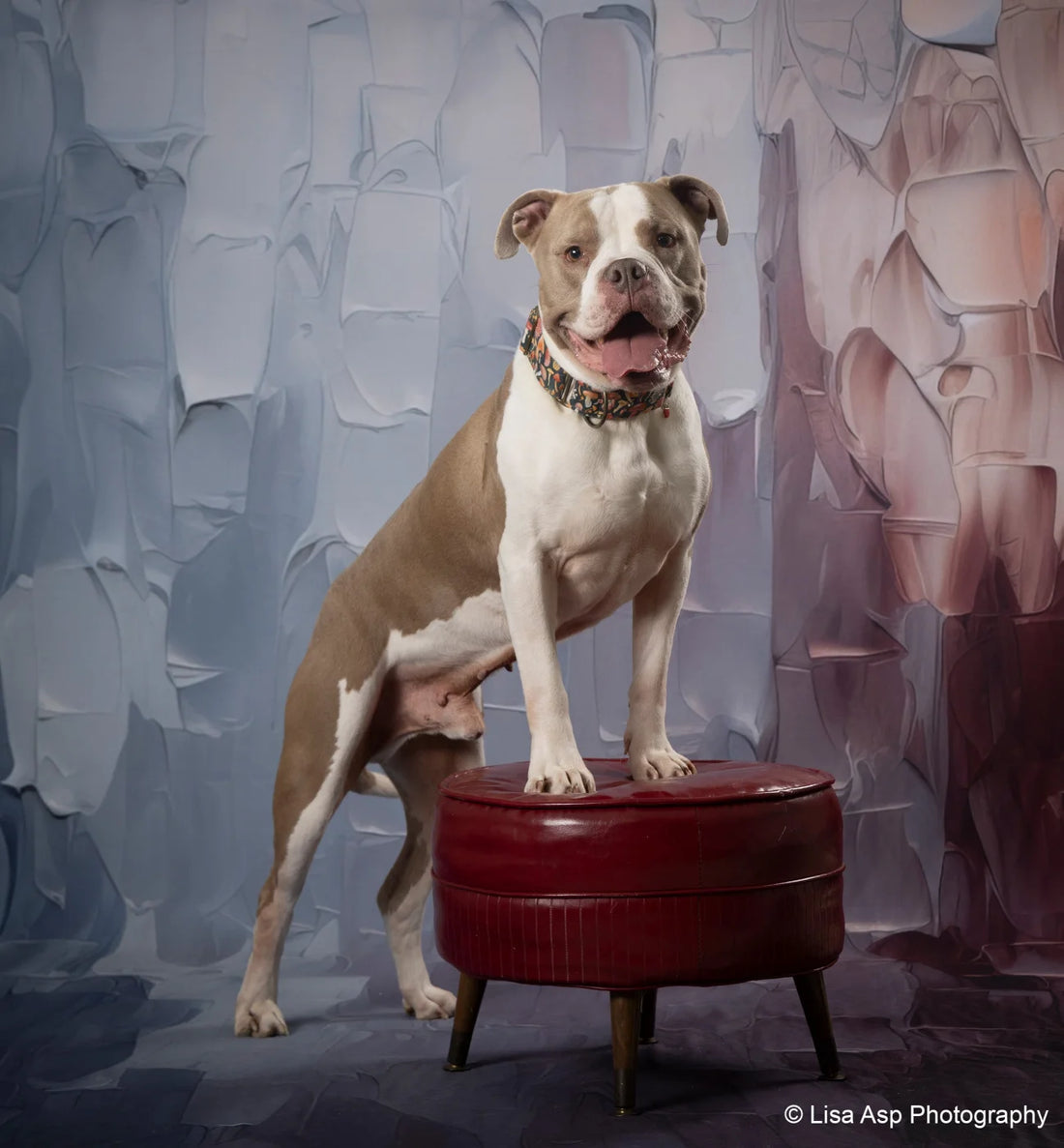 Patriotic Spackle Backdrop