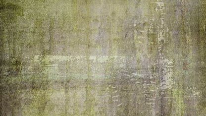 Paul 14X8 Ultracloth ( 168 X 96 Inch ) Backdrop